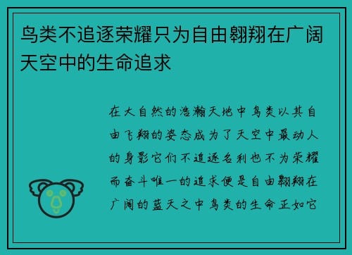 鸟类不追逐荣耀只为自由翱翔在广阔天空中的生命追求