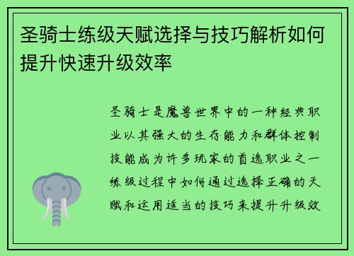 圣骑士练级天赋选择与技巧解析如何提升快速升级效率