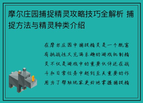 摩尔庄园捕捉精灵攻略技巧全解析 捕捉方法与精灵种类介绍
